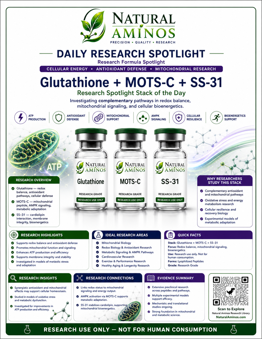 Glutathione + MOTS-c + SS-31 research graphic